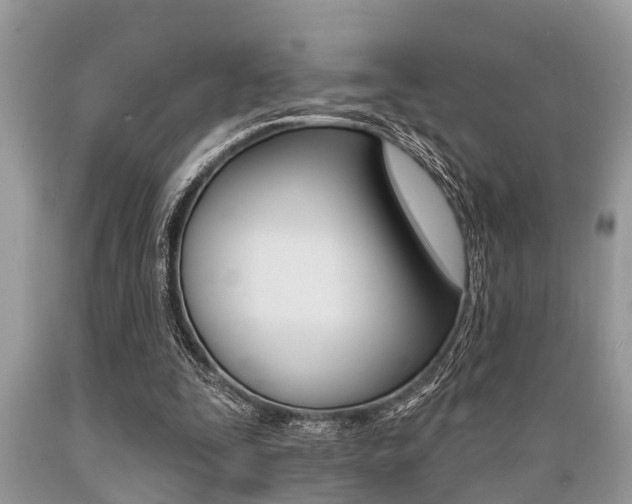 X0000089660295200706210736