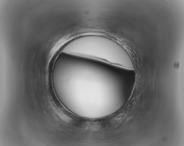 X0000089660296200706210736