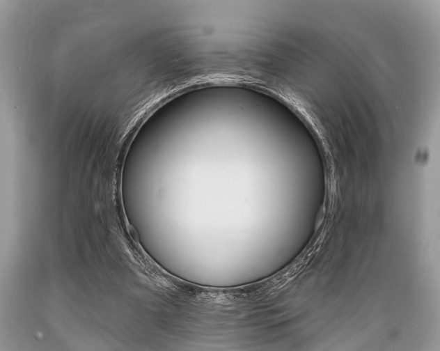 X0000089660297200706210736