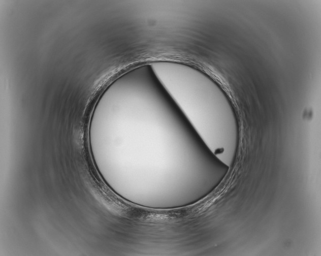 X0000089660298200706210736