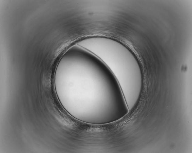 X0000089660299200706210736
