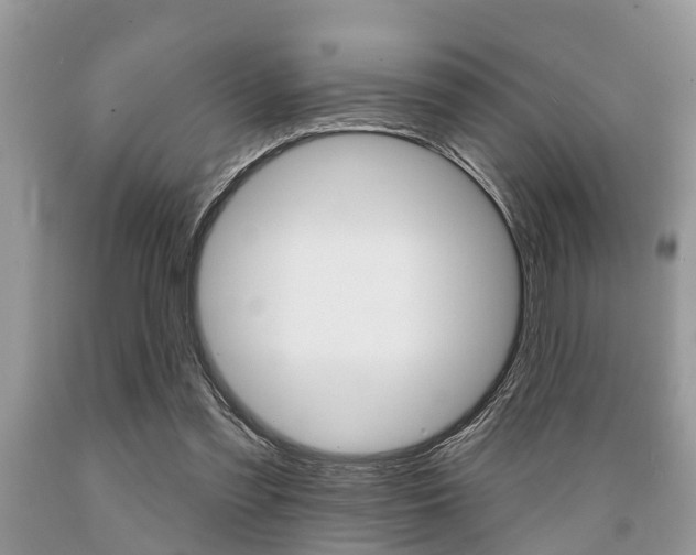 X0000089660301200706210736