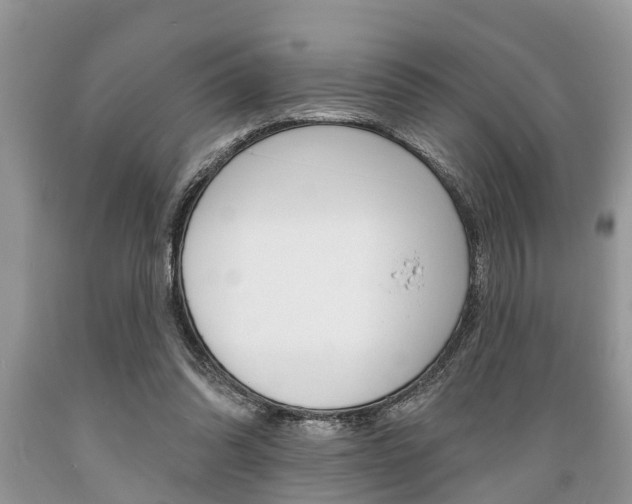 X0000089660302200706210736