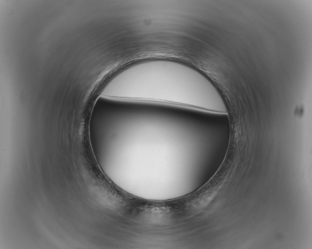 X0000089660304200706210736