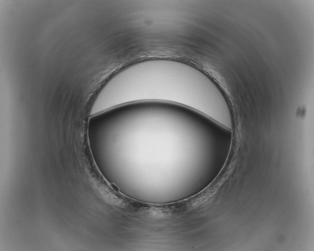 X0000089660305200706210736