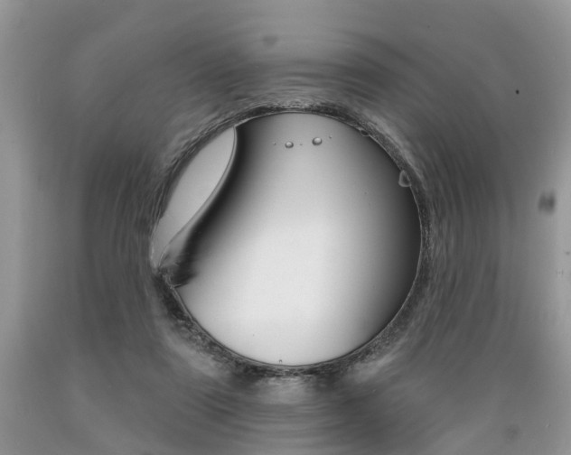 X0000089660307200706210736