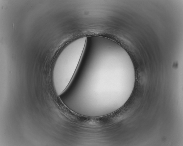 X0000089660308200706210736