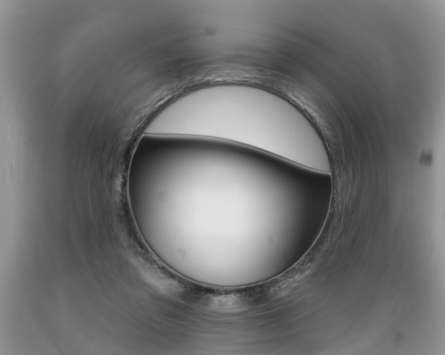 X0000089660309200706210736