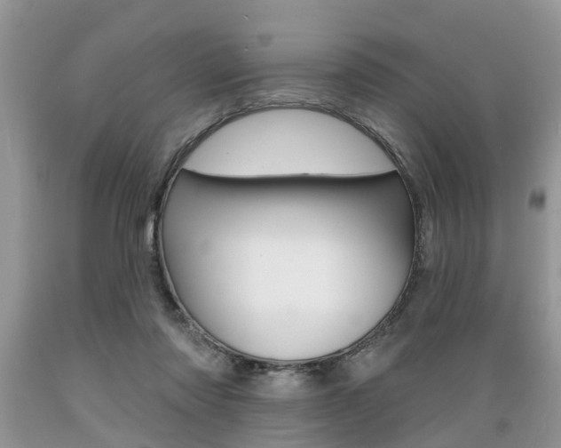 X0000089660310200706210736