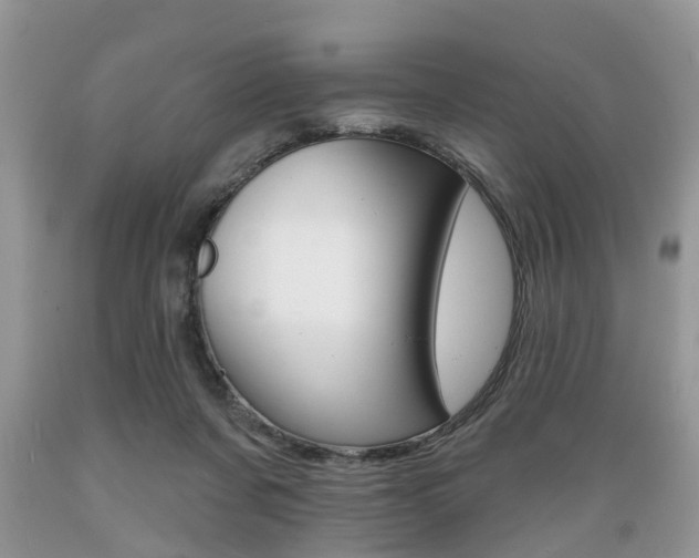 X0000089660311200706210736