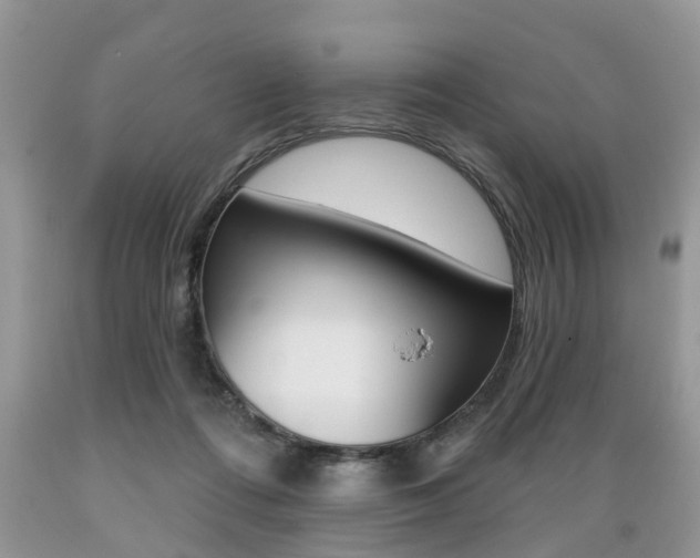 X0000089660312200706210736