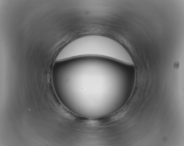 X0000089660313200706210736