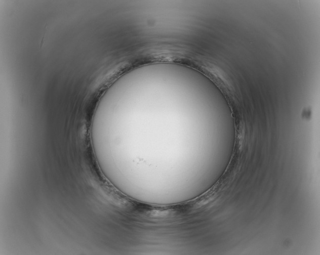 X0000089660314200706210736