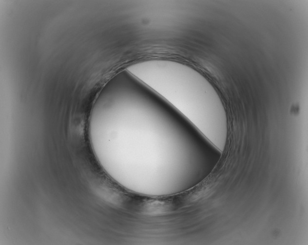 X0000089660315200706210736