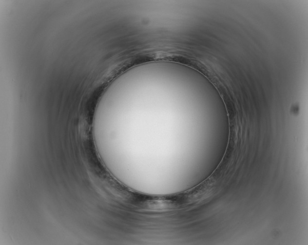 X0000089660316200706210736
