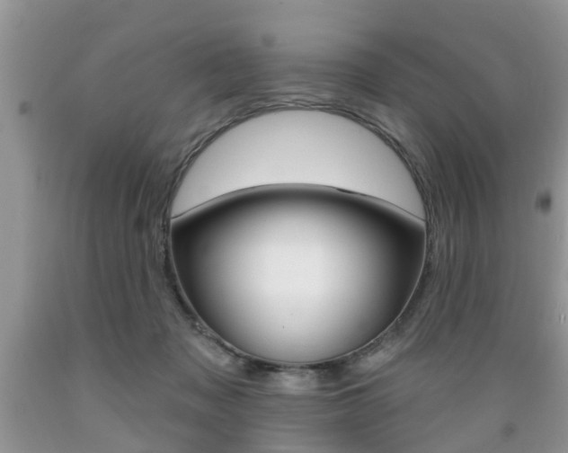 X0000089660317200706210736