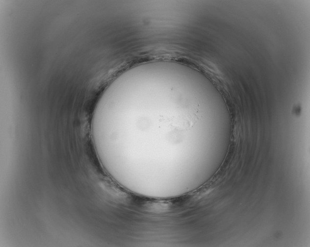 X0000089660318200706210736