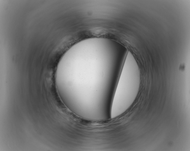 X0000089660319200706210736