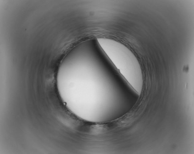 X0000089660320200706210736