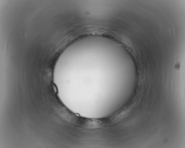 X0000089660321200706210736