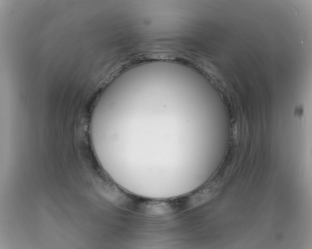 X0000089660322200706210736