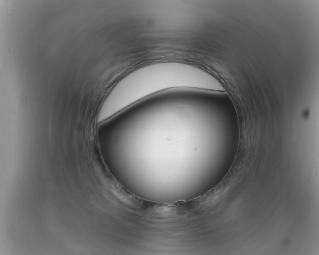 X0000089660325200706210736