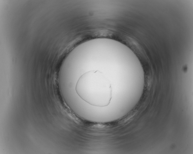 X0000089660326200706210736