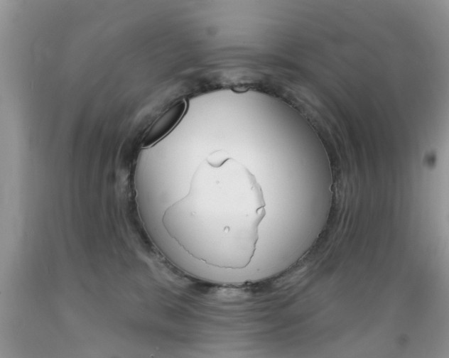 X0000089660327200706210736