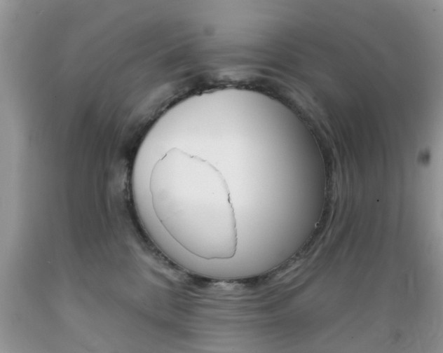 X0000089660328200706210736