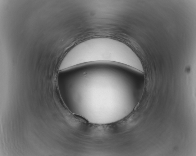 X0000089660329200706210736