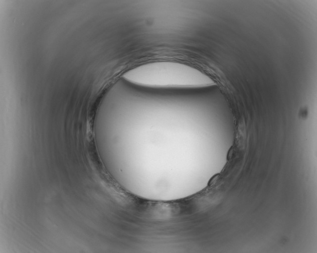 X0000089660330200706210736