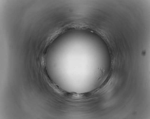 X0000089660335200706210736