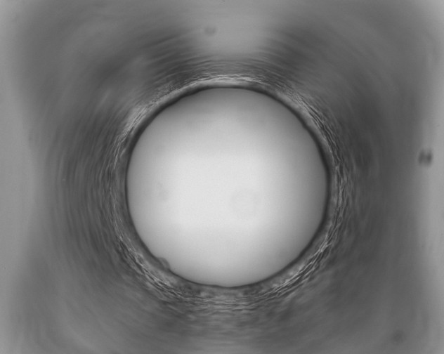 X0000089660337200706210735