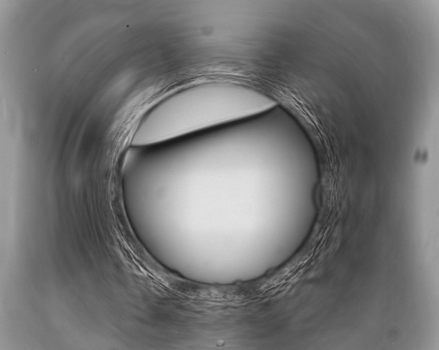 X0000089660338200706210735