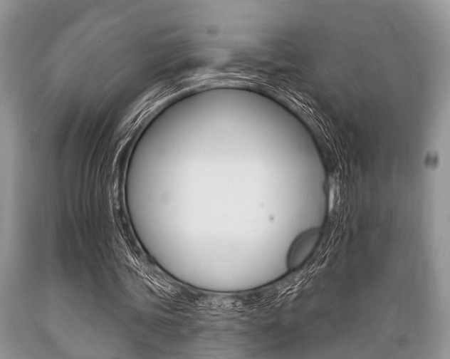 X0000089660339200706210735
