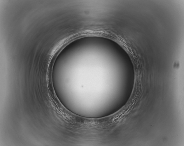 X0000089660340200706210735
