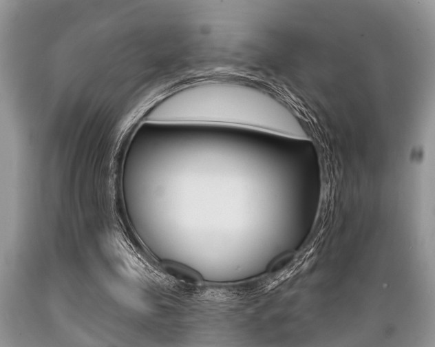 X0000089660341200706210735