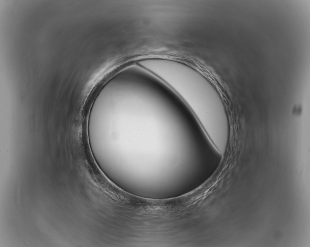 X0000089660344200706210735
