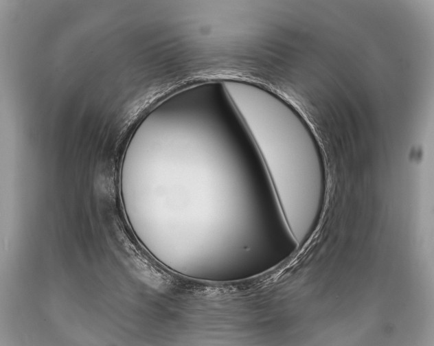 X0000089660345200706210735