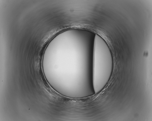 X0000089660346200706210735