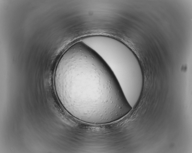 X0000089660347200706210735