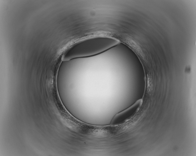 X0000089660348200706210735