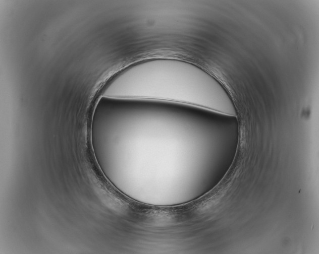 X0000089660349200706210735