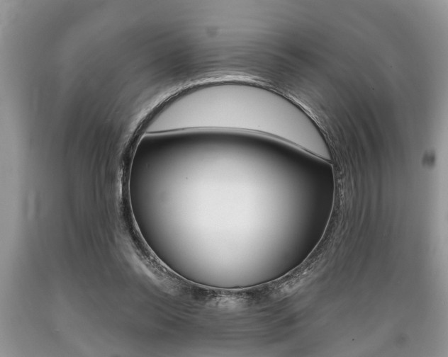 X0000089660350200706210735