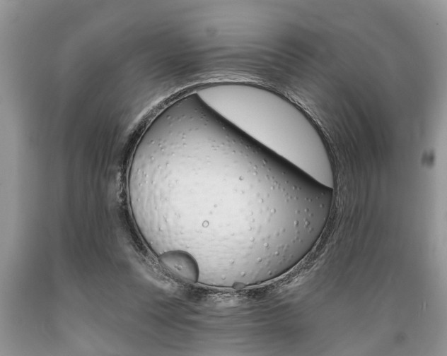 X0000089660351200706210735