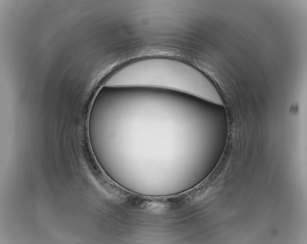 X0000089660352200706210735