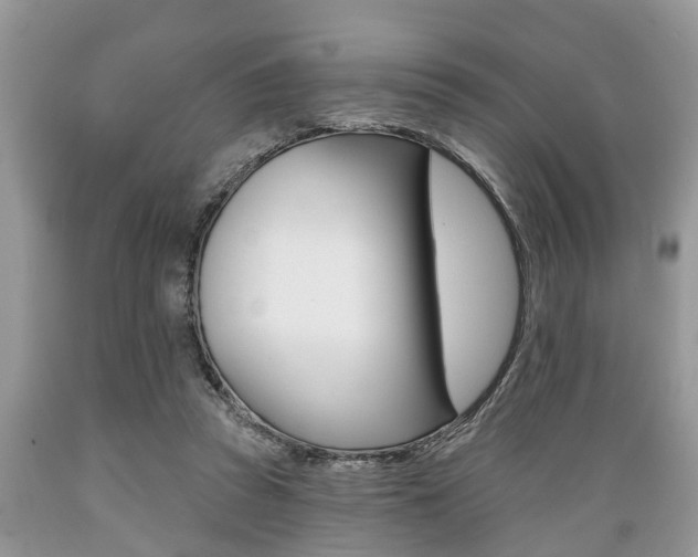 X0000089660353200706210735
