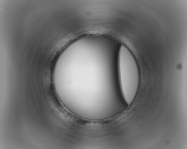 X0000089660354200706210735