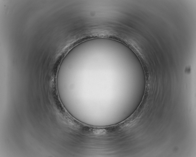 X0000089660355200706210735