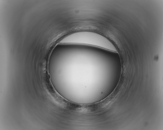 X0000089660356200706210735